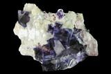 Purple-Blue Cubic Fluorite Crystals - Inner Mongolia #146942-1